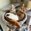 Peach and Pablo