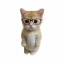 PHDKitty
