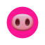 Piggy