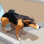 Pissing Dog Farts