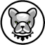 Pitbull