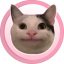 Polite Cat