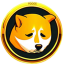 Poor Doge