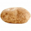 Potato