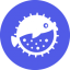 Puffer
