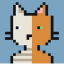 Quantum Cats