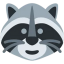 Raccoon Coin
