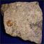 Rare Earth Elements (REEs)