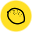 Ripe DAO Governance Token