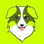 ROBDOG