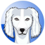 SALUKI