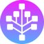 Sedra Coin