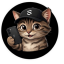Seeker Cat