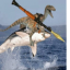 Shark raptor rocket launcher