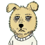 Shibussy