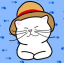Shiro Neko CTO