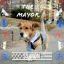 Simon for NYC  dog Mayor