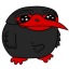 Smol dodo