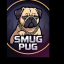 Smug Pug