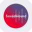 SoundHound AI rStock