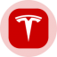 Tesla (Ondo Tokenized Stock)