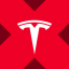 Tesla xStock