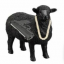 The black sheep