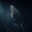 The Greenland Shark