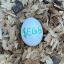 The most watched egg