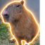 The survivor