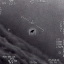 UFO: Disclosure