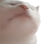 Vibe Cat