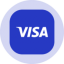 Visa (Ondo Tokenized Stock)