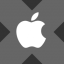 Wrapped Apple xStock