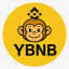 Yellow BNB 4