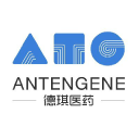 Antengene Corporation Limited