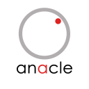 Anacle Systems Limited