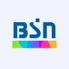 BSN Media Holdings, Inc.