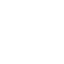 Arbor Realty Trust, Inc.