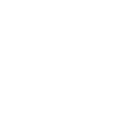 American International Group, Inc.