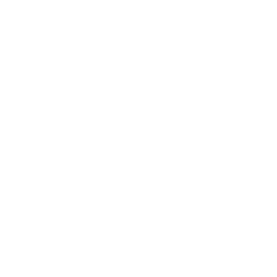 Alps Group Inc