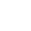 Altair Engineering Inc.