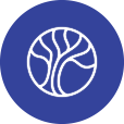 Amniotics AB (publ)