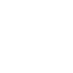 Angion Biomedica Corp.