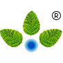 Anupam Rasayan India Ltd.