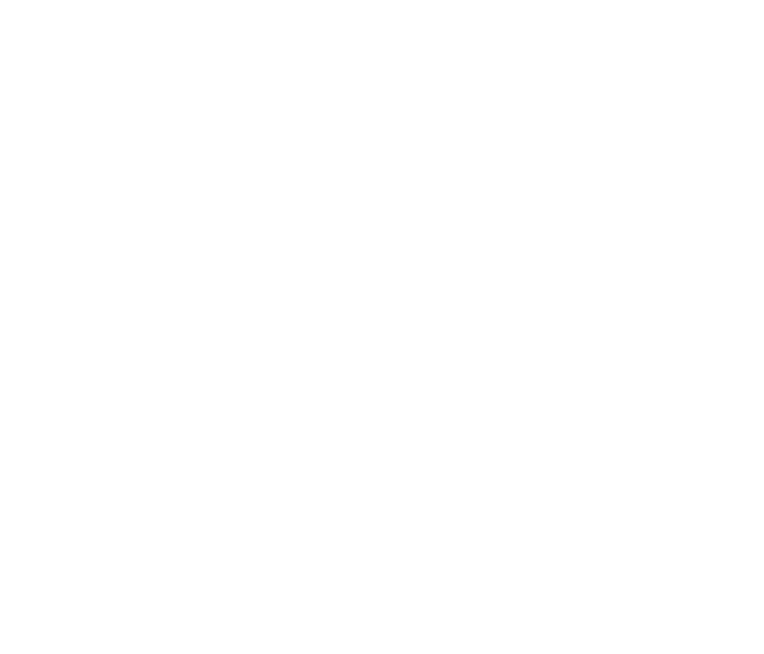 AppLovin Corporation
