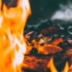 BBQ Holdings, Inc.