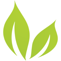 Bright Green Corporation