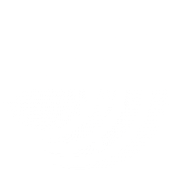 Brenmiller Energy Ltd
