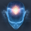BrainChip Holdings Ltd
